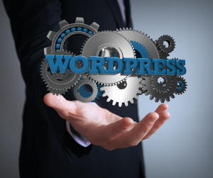 Understanding WordPress Virtual Private Servers (VPS)