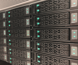 Sky High Success: Elevate Your WordPress with a Cloud Server