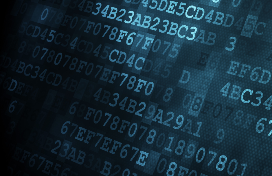 Streamline Success: Ultimate Guide to Managed WordPress Hosting Solutions