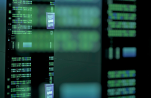 The Beginner's Guide to Choosing the Right WordPress Hosting